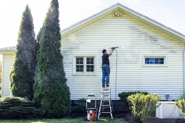 Best Roof Cleaning and Mildew Removal in Colleyville, TX